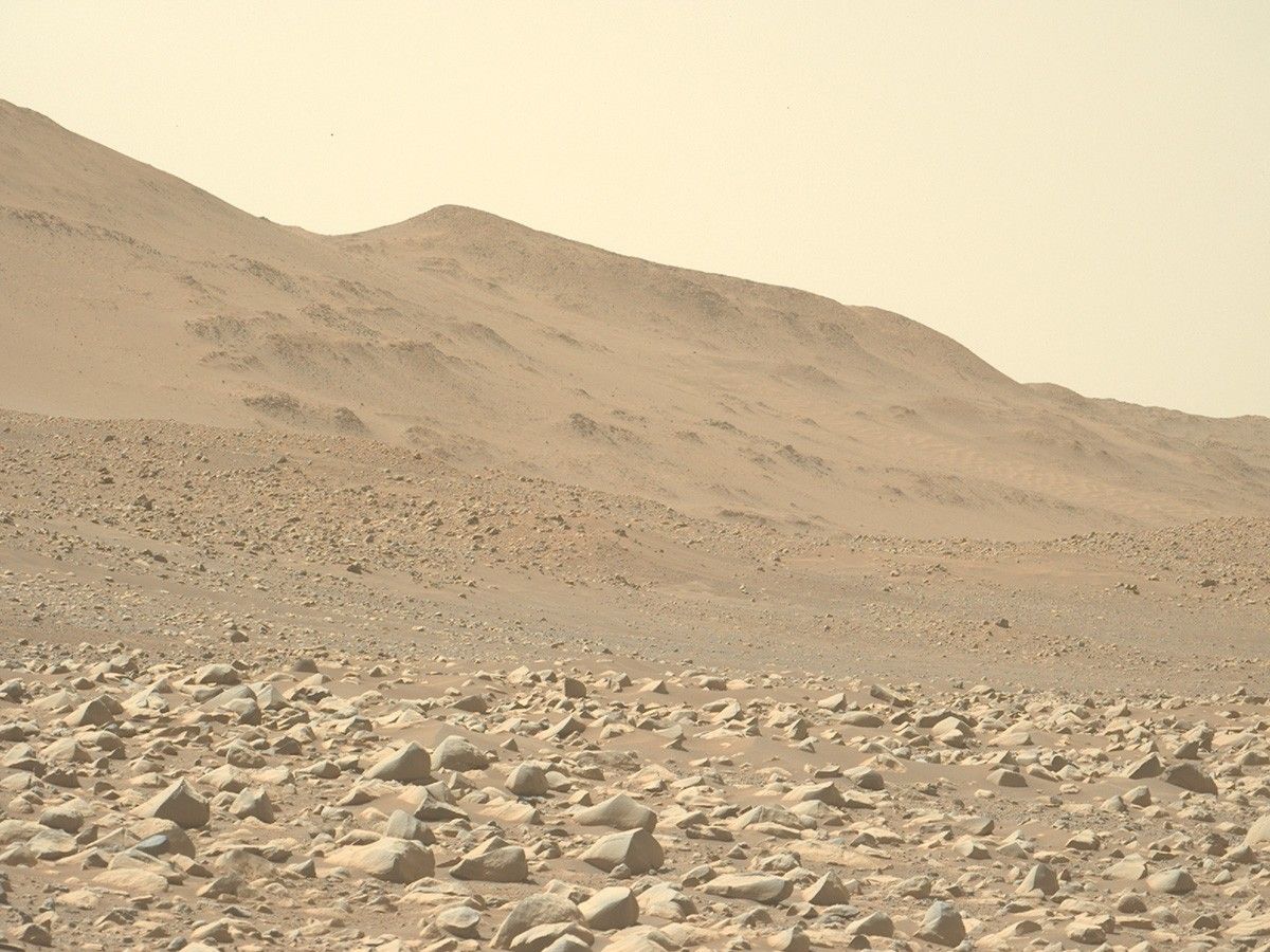 Perseverance looks out over a field of boulders, snapping this image with its Left Mastcam on Sol 868 (July 30, 2023).