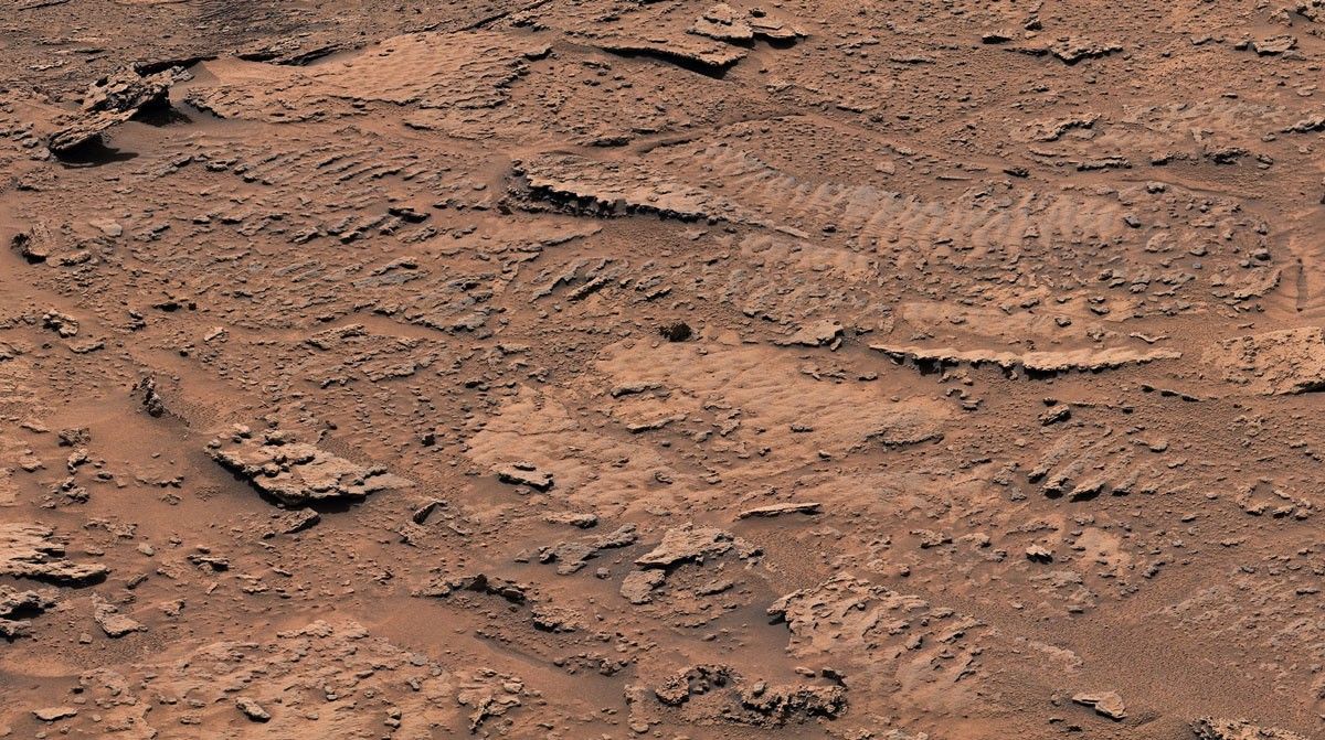 Image of sediment formed into rocks with rippled textures.