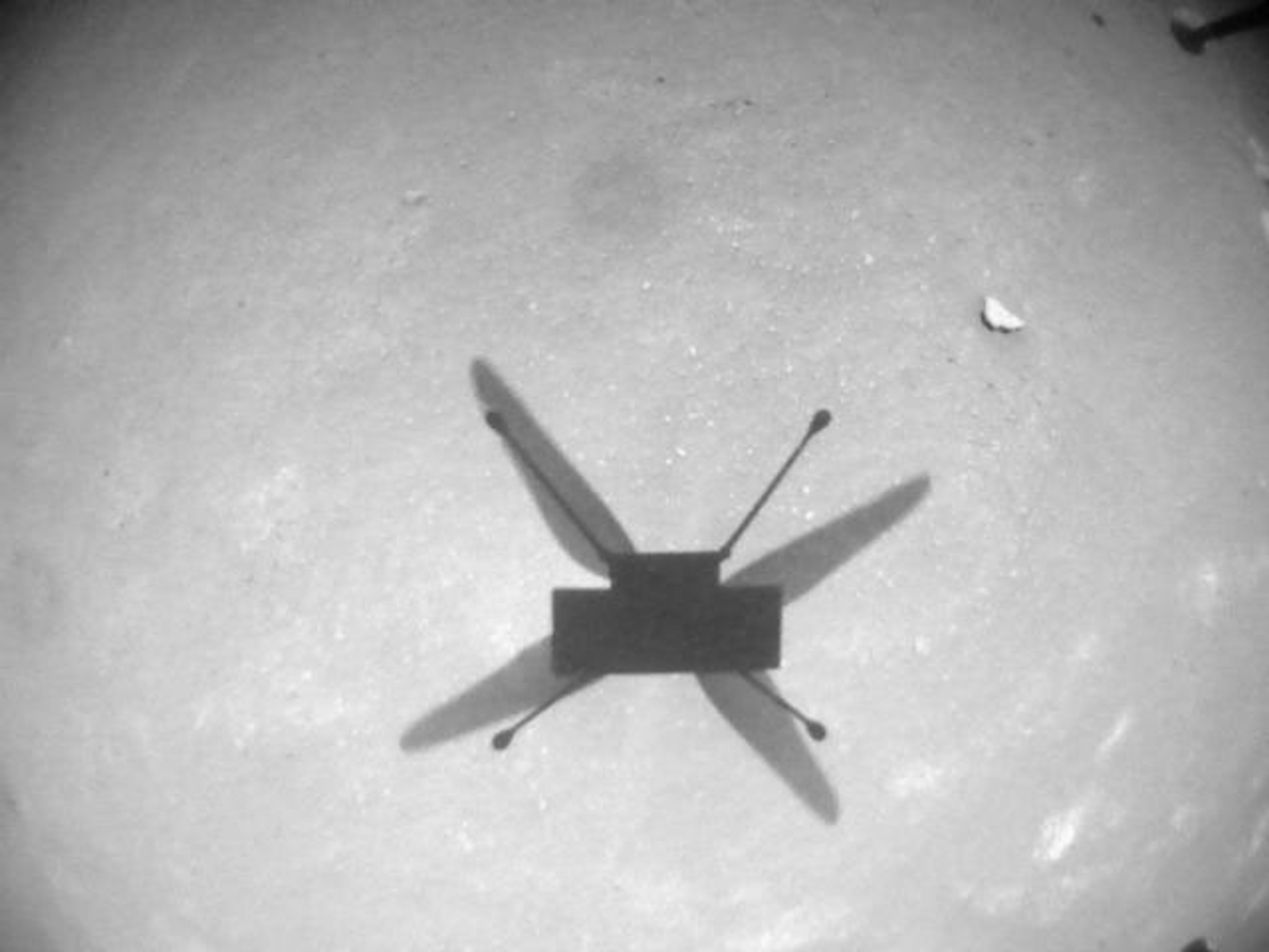 NASA's Ingenuity Mars Helicopter acquired this image using its navigation camera. This camera is mounted in the helicopter's fuselage and pointed directly downward to track the ground during flight.