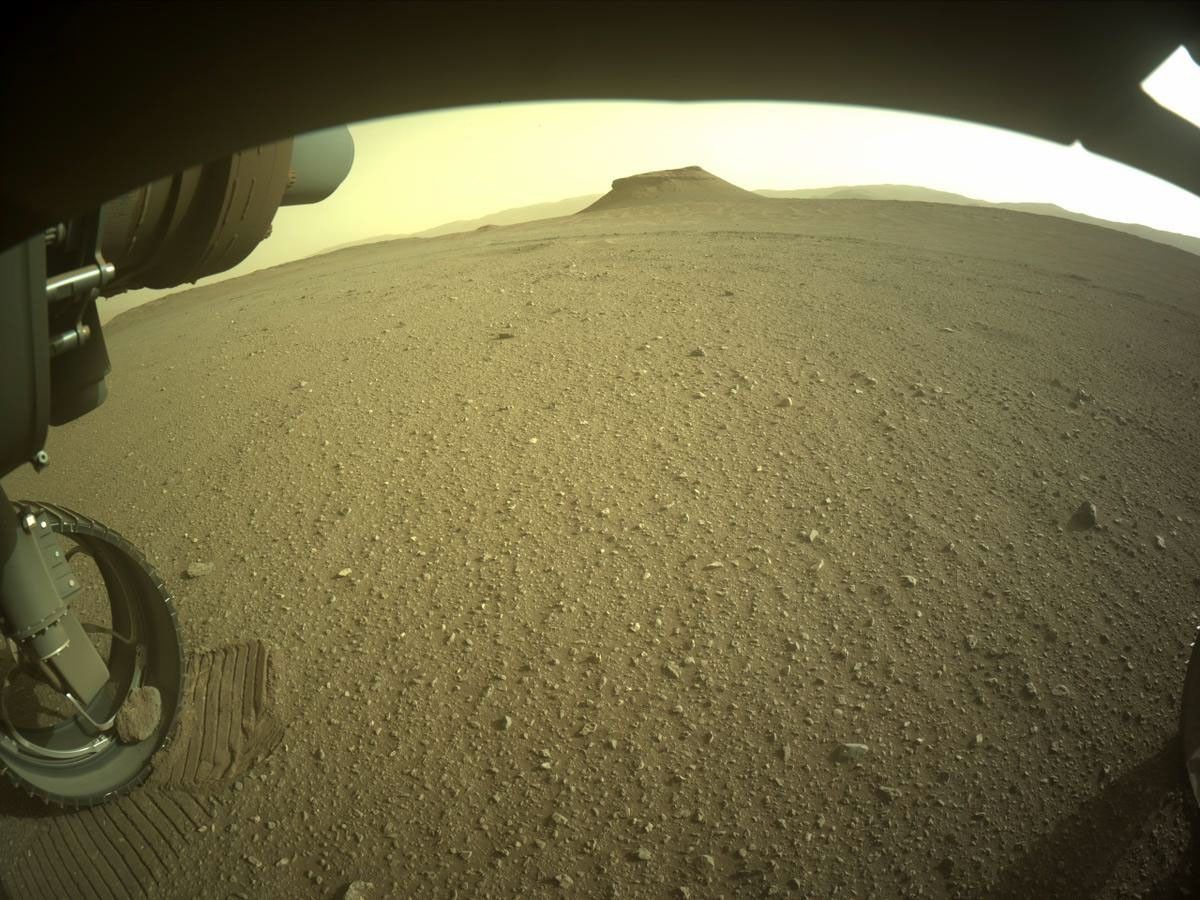 Perseverance’s pet rock has had some great views of Kodiak, a delta remnant, along its travels.