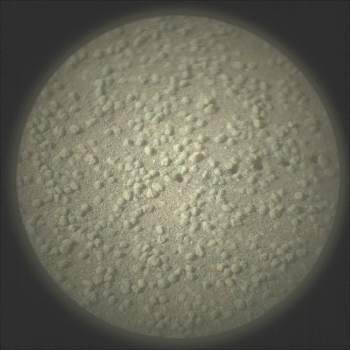 Mars surface image from rover
