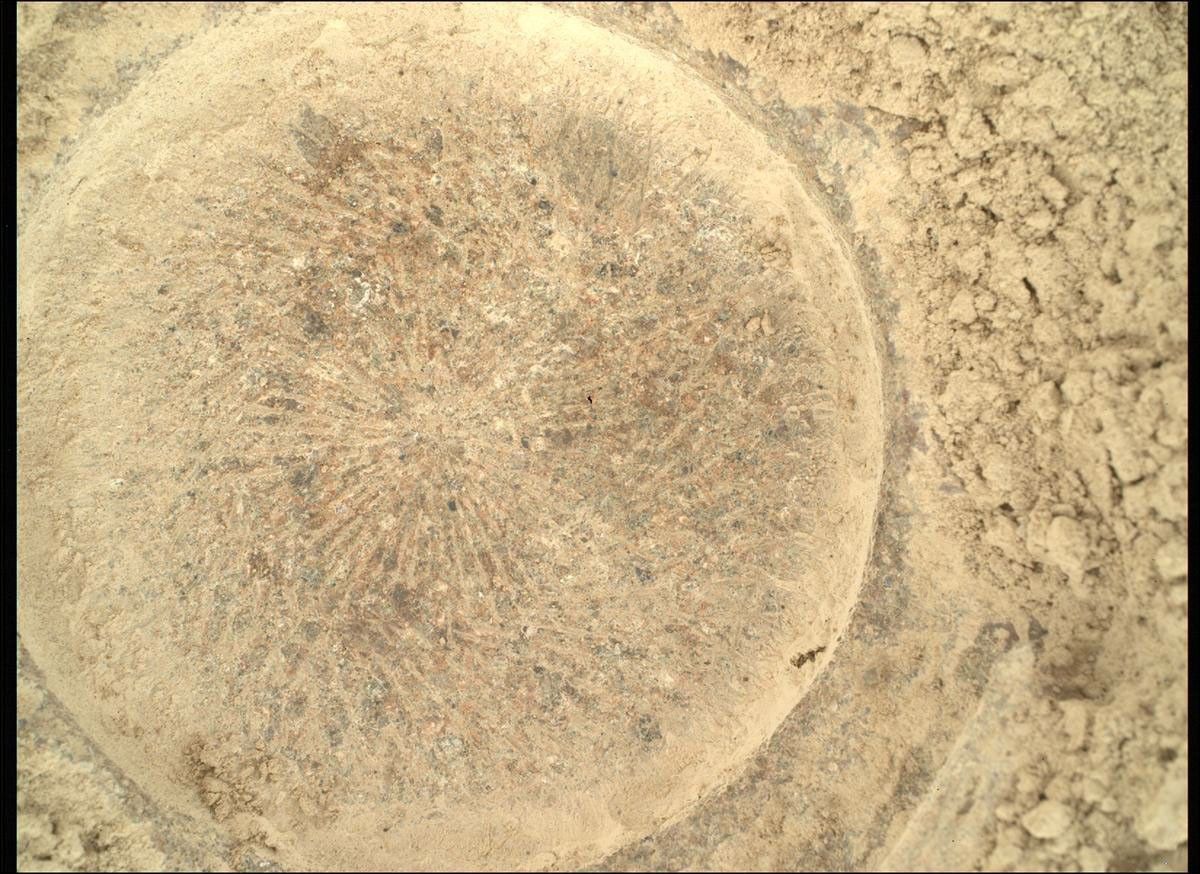 NASA's Mars Perseverance rover acquired this image using its SHERLOC WATSON camera, located on the turret at the end of the rover's robotic arm.