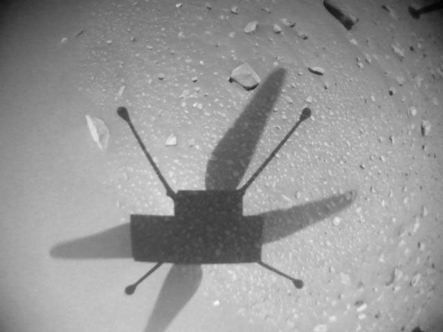 NASA's Ingenuity Mars Helicopter acquired this image using its navigation camera. This camera is mounted in the helicopter's fuselage and pointed directly downward to track the ground during flight.