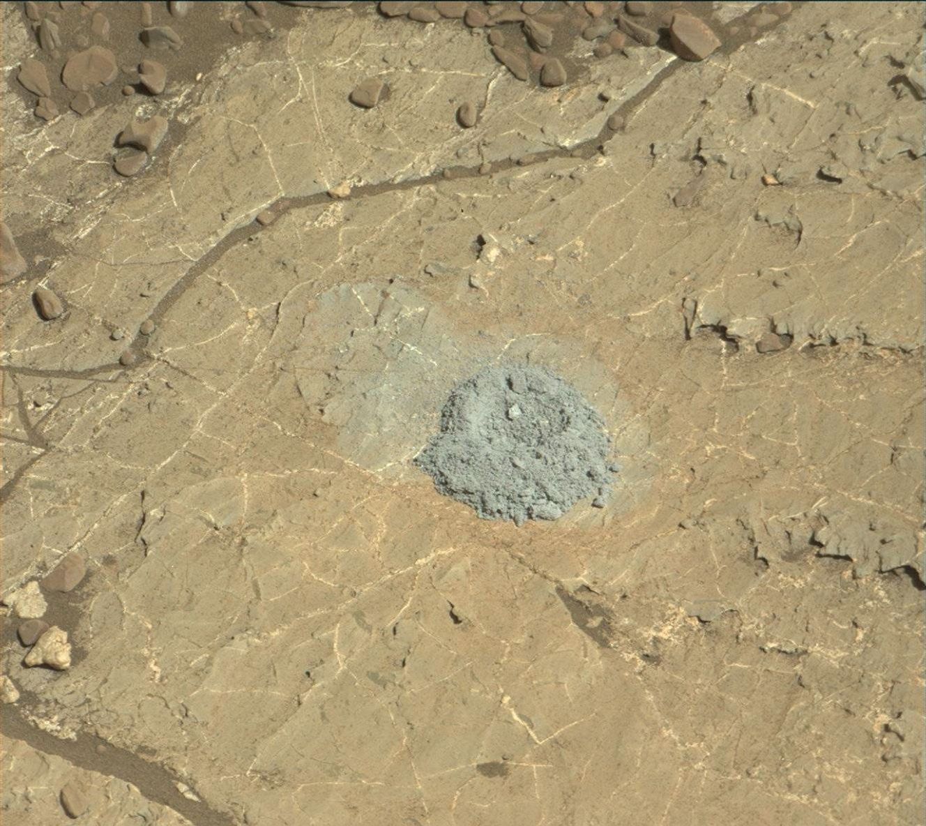 Sol 1978: Examining drill tailings