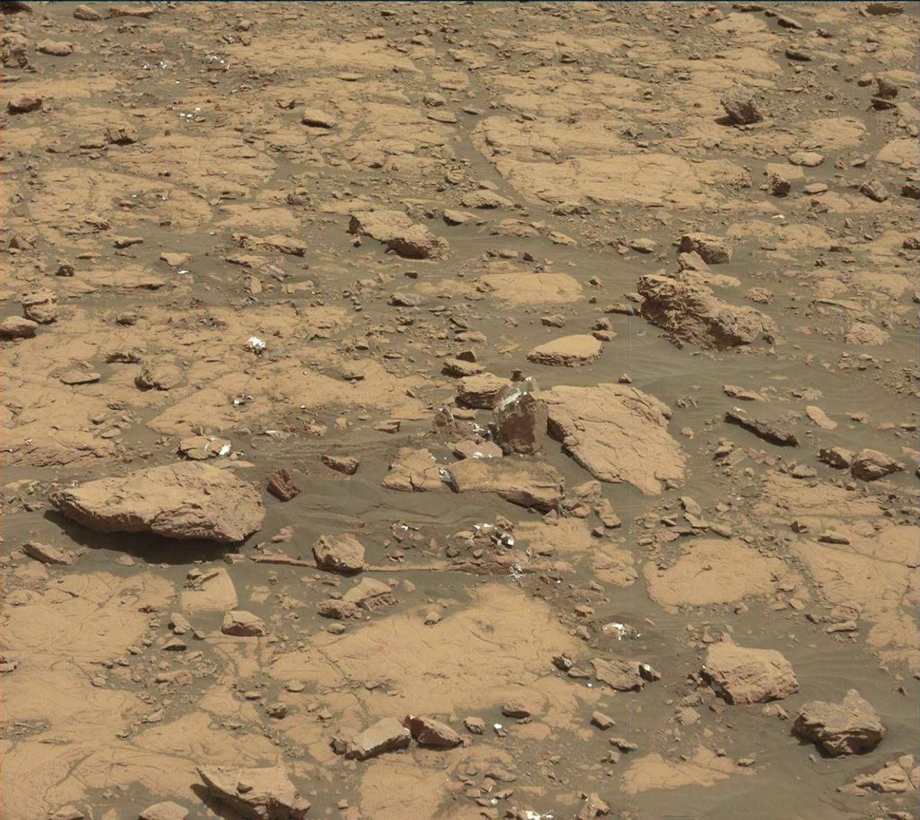 Sol 2007: "Today is a Shetland Day!"