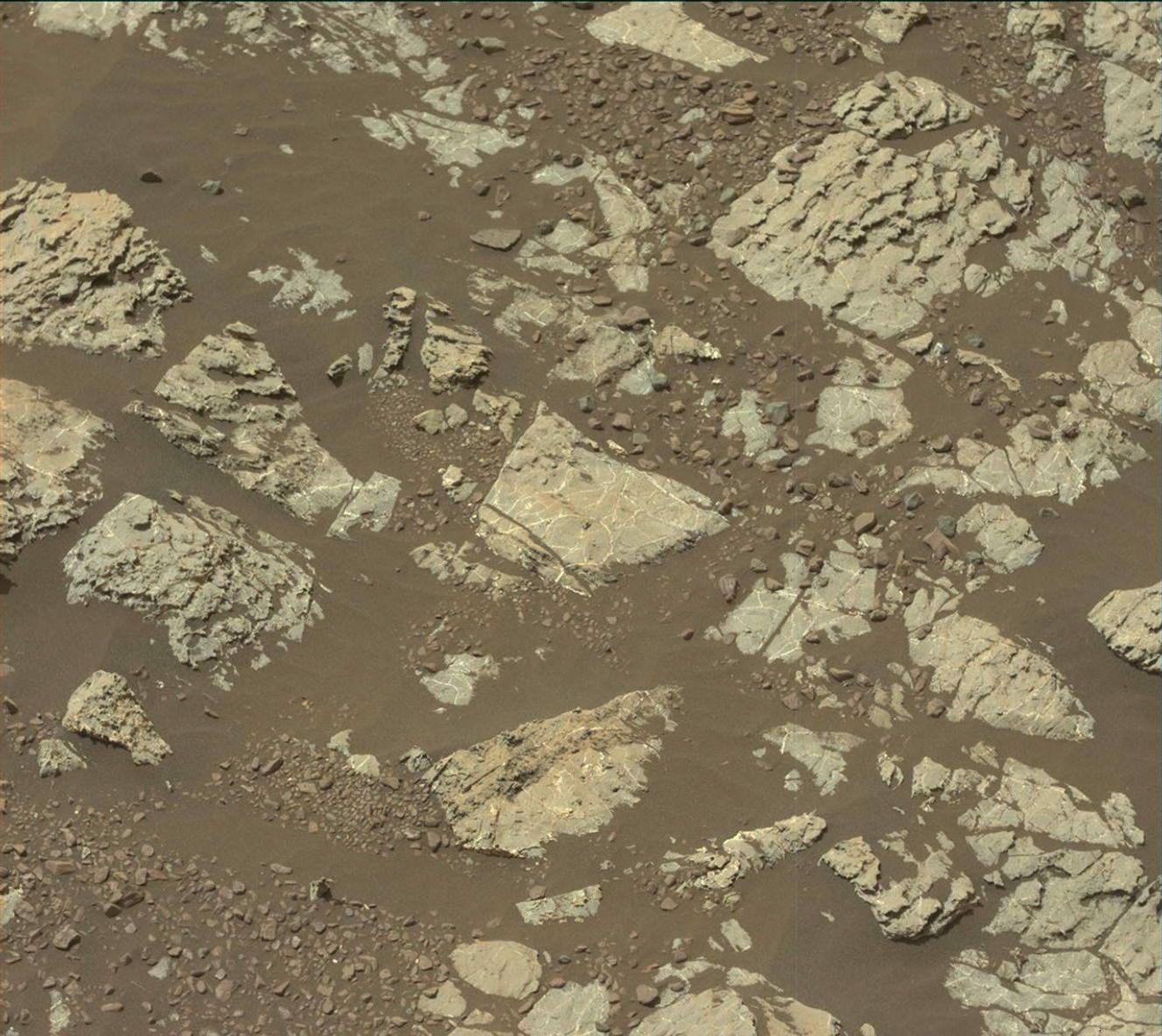 Sol 2236-2239: No turkey, but many side dishes
