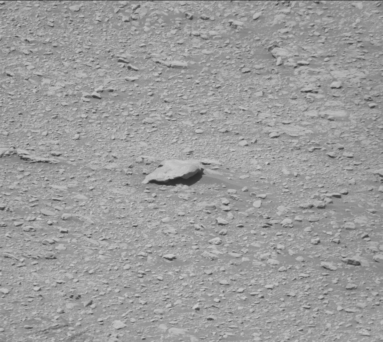 Monach Isles potential meteorite