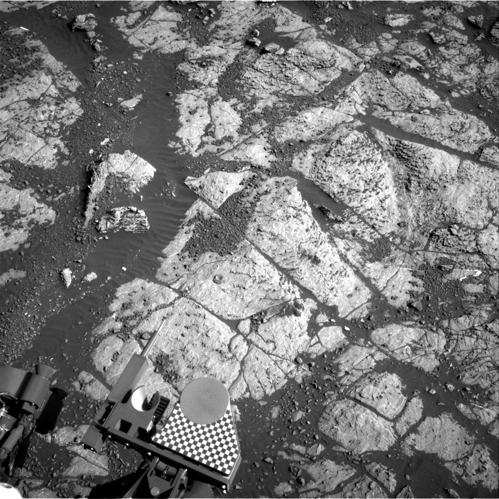 Sols 1980: Back to science