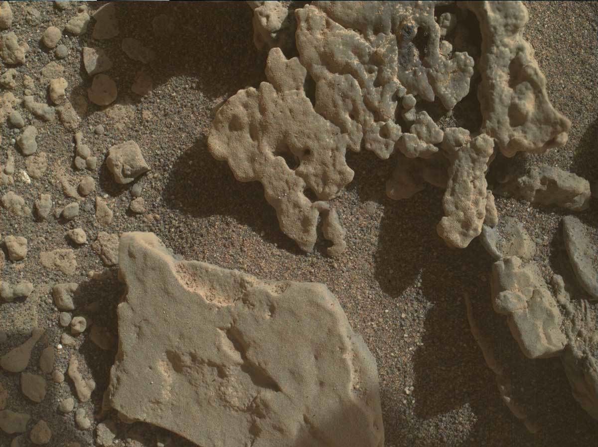 ~5 cm standoff focus merge MAHLI image of the Dumbartonshire vein target. The irregular textured area to the top and slightly right of centre of the image is where the APXS will target in this plan. Note the darker area where ChemCam previously shot this target.