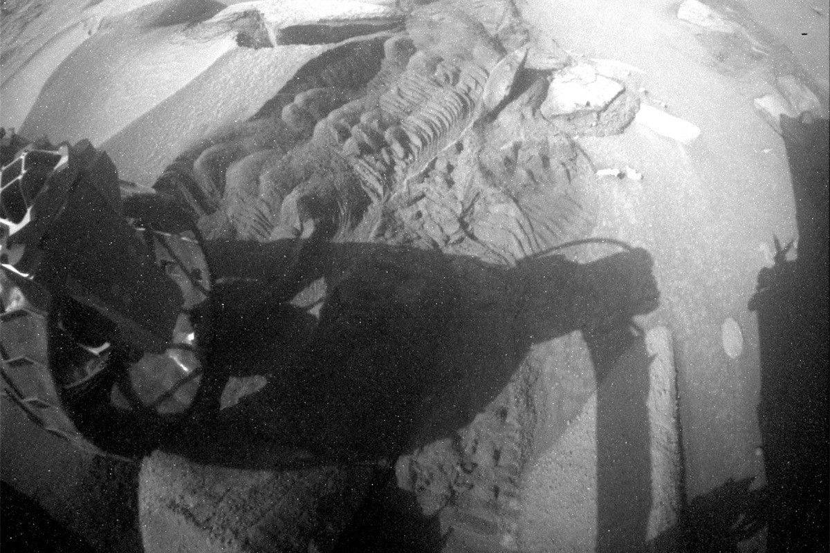 This image of the rover's wheel shadow on the Mars surface was taken by Rear Hazard Avoidance Camera (Rear Hazcam) onboard NASA's Mars rover Curiosity on Sol 3839.