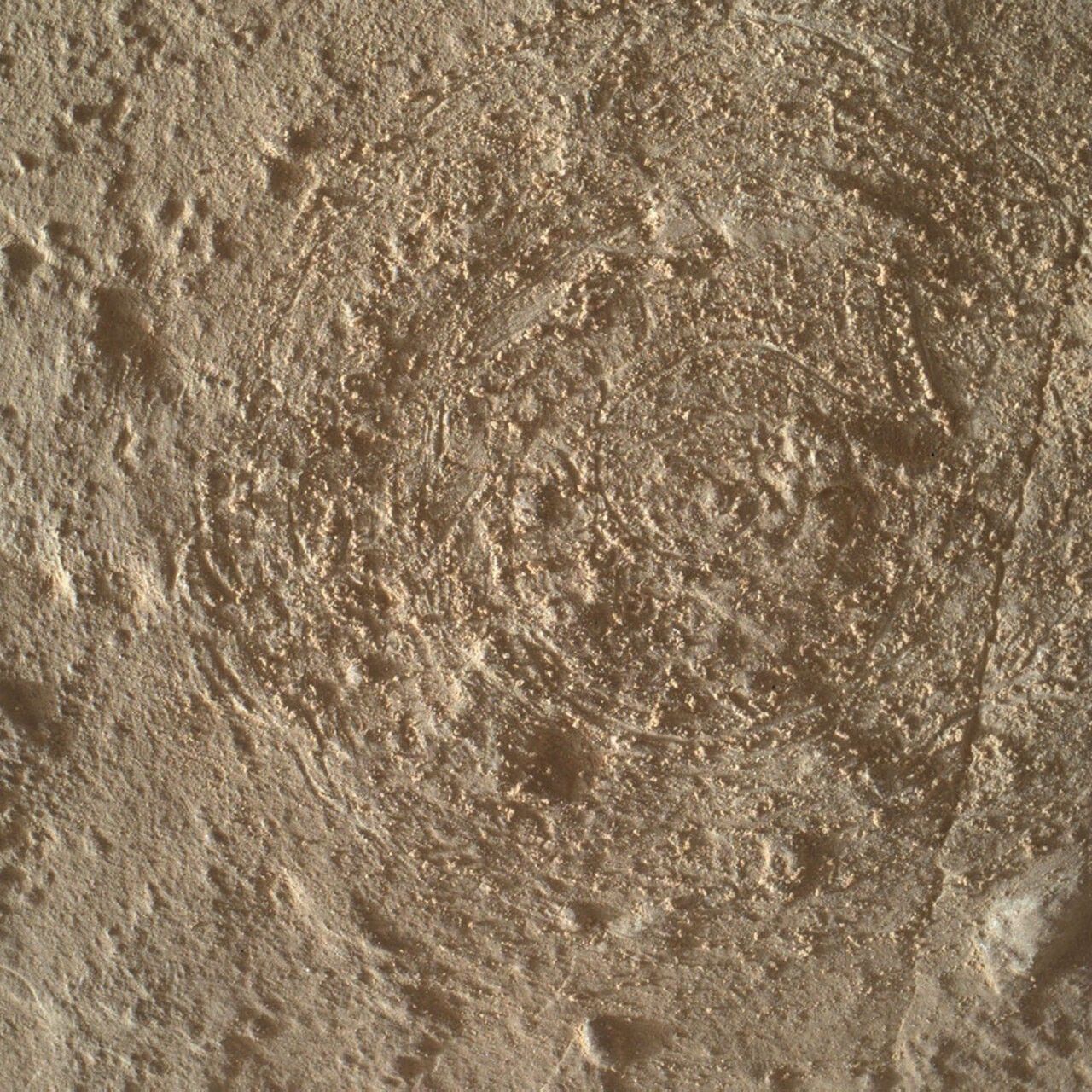 MAHLI focus merge product of the sol 3900 target Porta Walter after DRT brushing. Curiosity acquired this image using its Mars Hand Lens Imager (MAHLI), located on the turret at the end of the rover's robotic arm, on July 27, 2023.