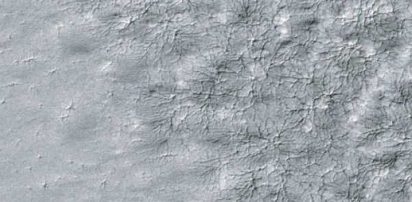 Spider Web Pattern