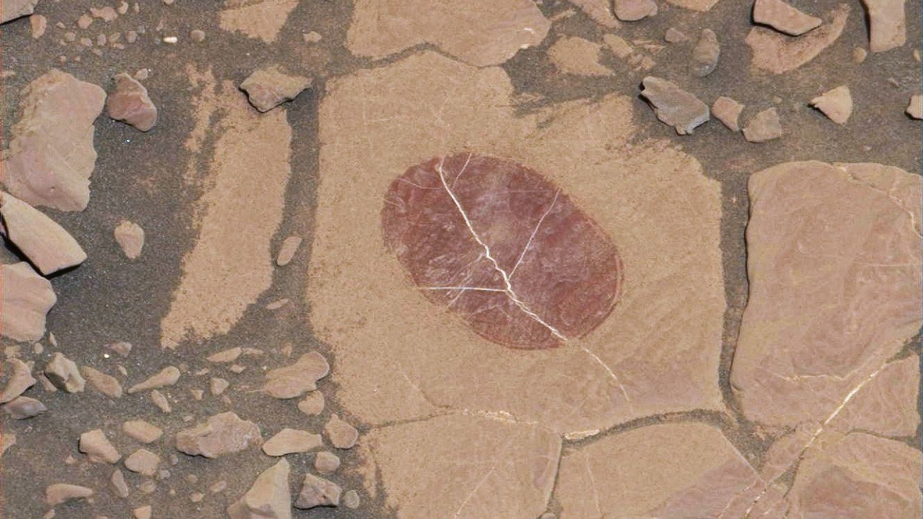 On "Vera Rubin Ridge," to determine whether dust coatings are hiding rocks' hematite content, the Mastcam on NASA's Curiosity Mars rover took this Sept. 17, 2017, image of a rock surface that had been brushed with the rover's Dust Removal Tool. The purplish tint may indicate fine-grained hematite.