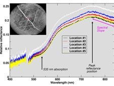 The ChemCam on NASA's Curiosity Mars rover examined a brushed area on target rock "Christmas Cove" on Sept. 17, 2017, and found spectral evidence of hematite, an iron-oxide mineral. Five lines on the graph of brightness at different wavelengths correspond to the labeled points in the inset image.