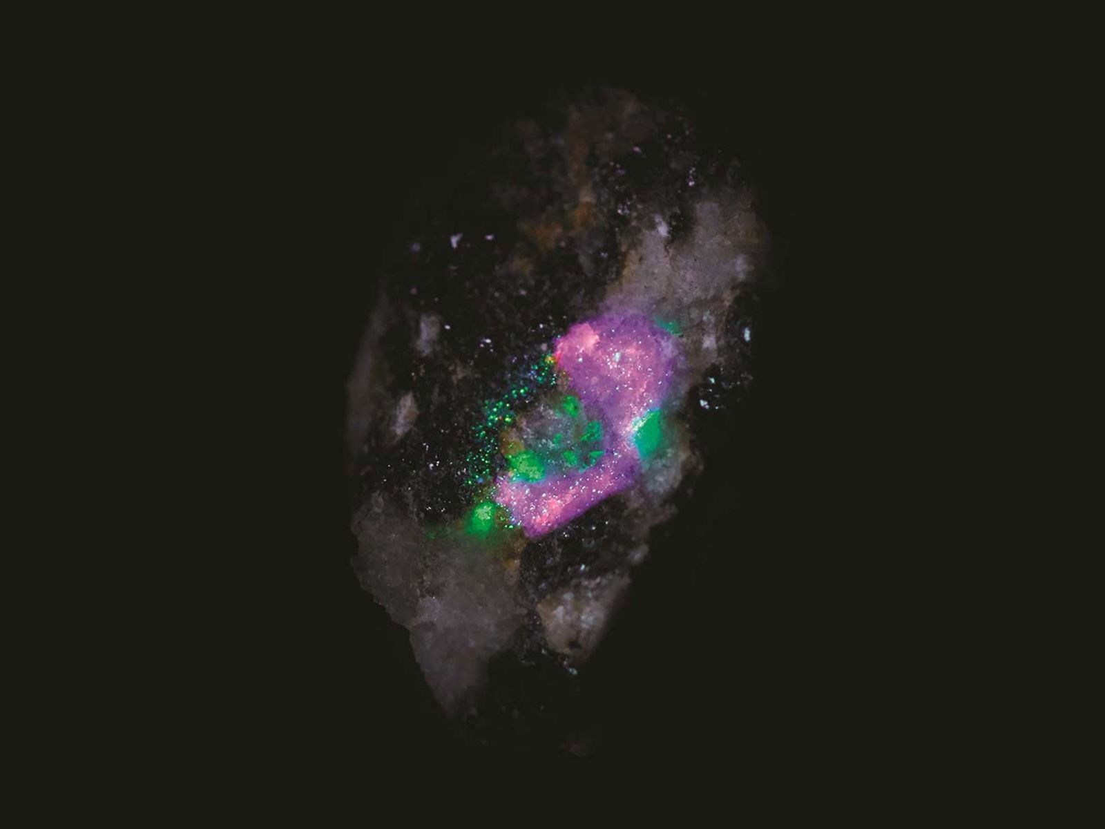 In this test image by SHERLOC, an instrument aboard NASA's Perseverance rover, each color represents a different mineral detected on a rock's surface.