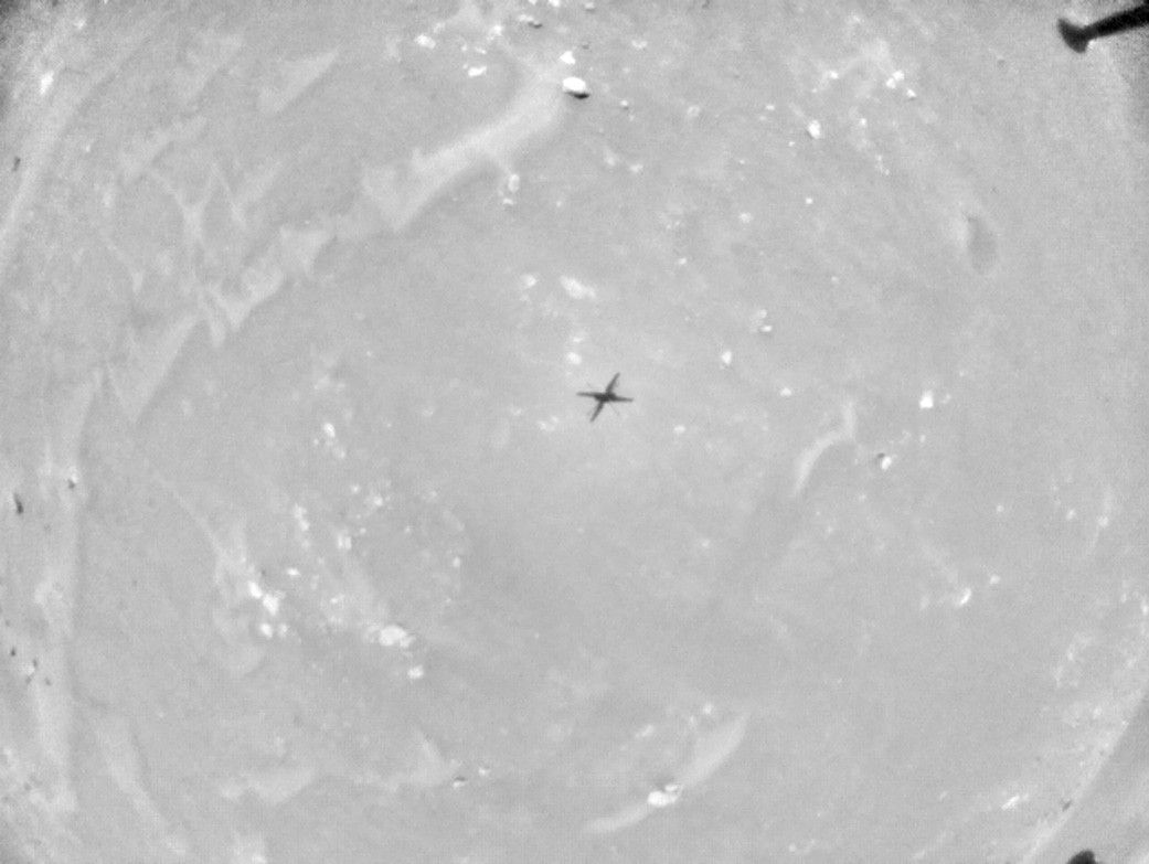 
			Ingenuity Flight Six Navcam Image - NASA Science			