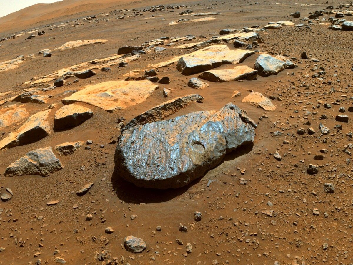 Abrasion Patch on 'Rochette'