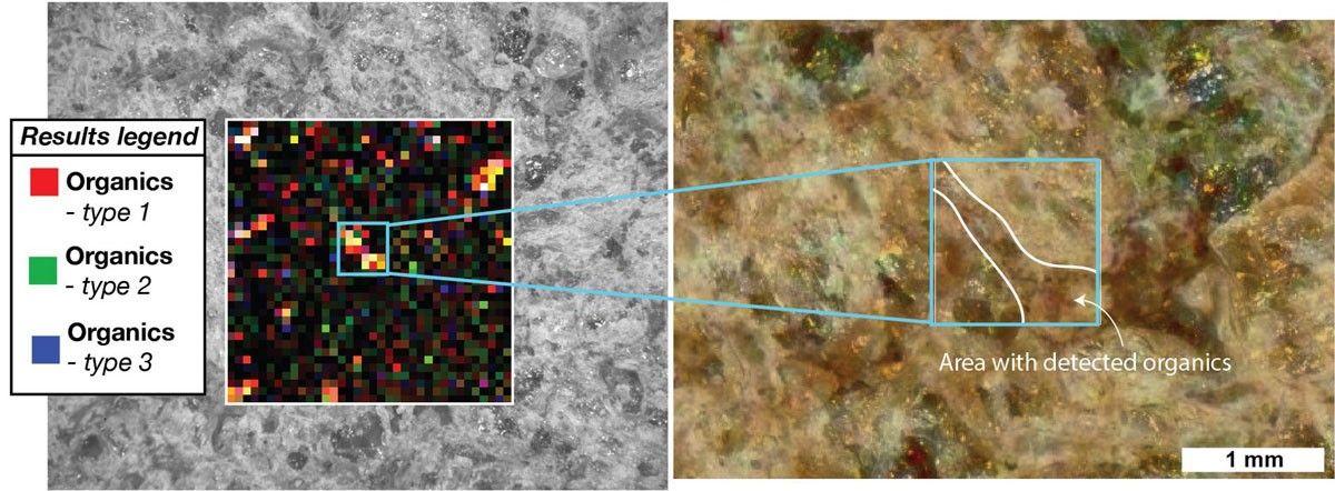 Different kinds of carbon-based molecules called organic compounds were viewed within a rock target called "Garde" by SHERLOC, one of the instruments on the end of the robotic arm aboard NASA's Perseverance Mars rover.