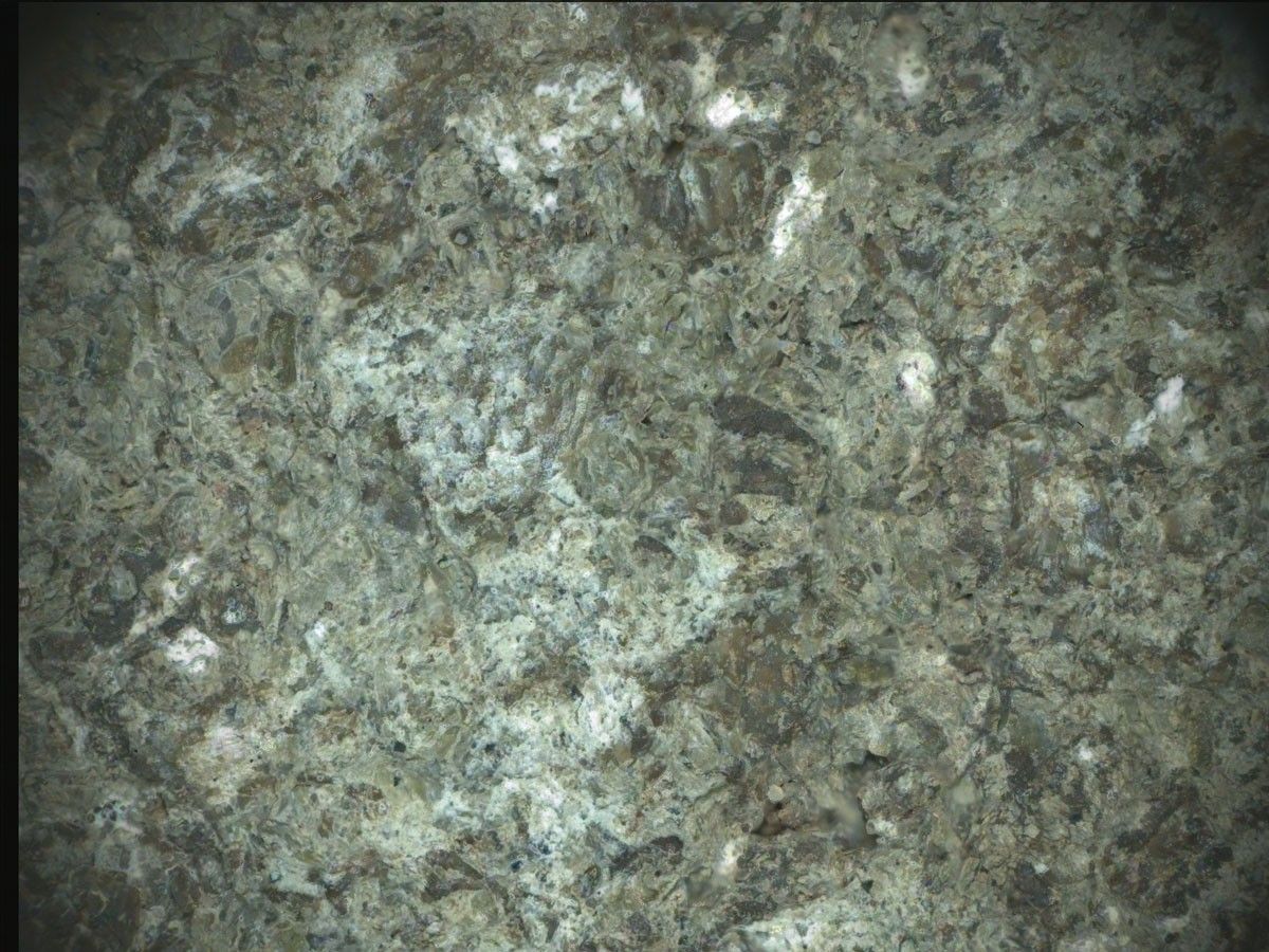 Analyzing this abraded rock patch dubbed “Bills Bay,” the PIXL instrument on NASA’s Perseverance Mars rover found it rich in carbonates and silica, both of which are good at preserving signs of ancient life.