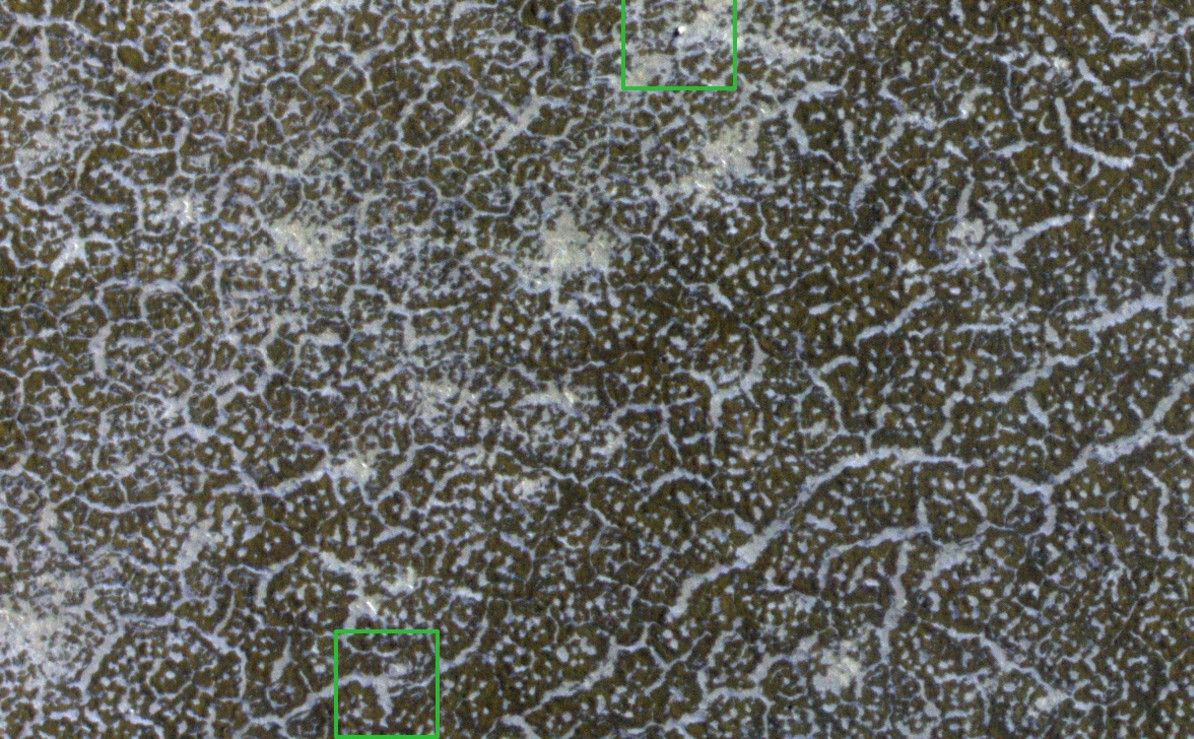 Phoenix Lander Amid Disappearing Spring Ice