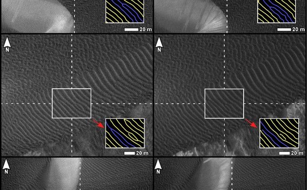 Changes in Ripples on Martian Dunes in Nili Patera