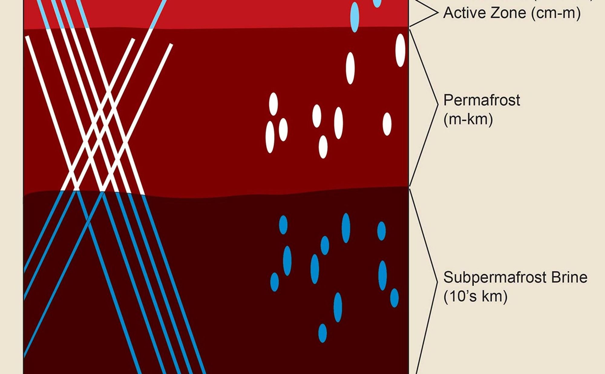 Unfrozen brine in cryopegs and fracture networks provides habitats for the survival and growth of organisms both within and under frozen rocky materials on Earth and, by analogy, could provide habitats on Mars.