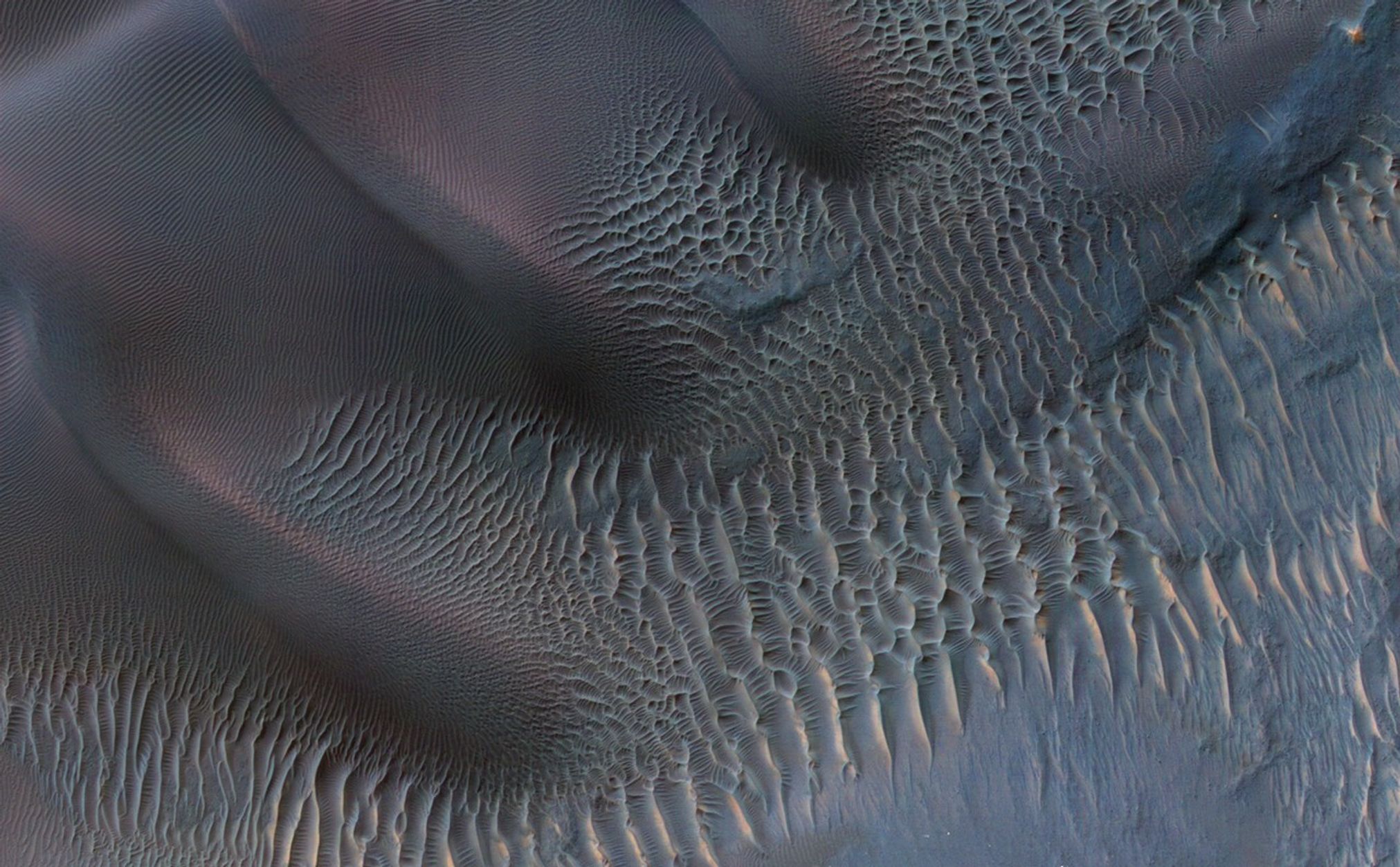 This enhanced-color image shows sand dunes trapped in an impact crater in Noachis Terra, Mars.