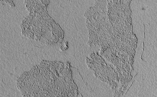 The Marte Vallis system, located east of Cerberus and west of Amazonis Planitia, is known for its array of broken, platy flow features. This Mars Global Surveyor (MGS) Mars Orbiter Camera (MOC) image shows a close-up view of some of these plates; they appear to be like puzzle pieces that have been broken apart and moved away from each other. The Mars science community has been discussing these features for the past several years--either the flows in Marte Vallis are lava flows, or mud flows. In either case, the material was very fluid and had a thin crust on its surface. As the material continued to flow through the valley system, the crust broke up into smaller plates that were then rafted some distance down the valley. This picture is located near 6.9°N, 182.8°W. It is illuminated by sunlight from the left.