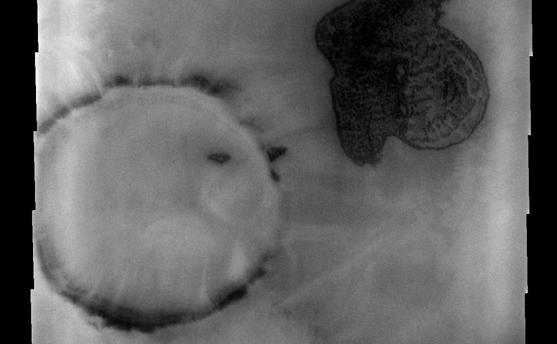 The dune field in this polar region crater looks like a stubby arrow pointing the way west. This unnamed crater is located in Planum Chronium.