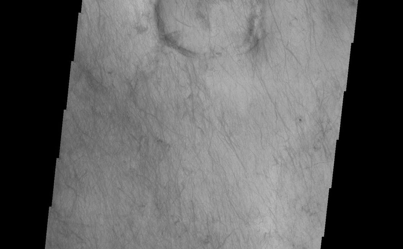 The dunes and dust devil tracks in this VIS image are located on the plains of Planum Chronium.