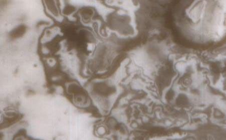 Planum Australe--the Plains of the South. Patchy frost lingers late into Martian spring in this Mars Global Surveyor (MGS) Mars Orbiter Camera (MOC) wide angle view from November 25, 1999. Spring would give way to summer in only 1 month, on December 25, 1999. The surfaces underneath the frost have different properties--some get warmer while others stay cold--thus causing frost to linger on colder surfaces and sublime away from warmer surfaces, leaving the dazzling, almost psychedelic pattern seen at the center of this image. Circular features in this view are old craters formed by meteor impact. The brightest patches within most of these circles are fields of sand dunes covered by frost.