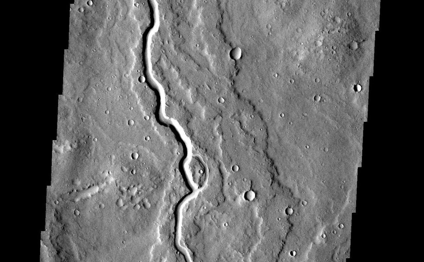 This lava channel is part of the Elysium Mons flows.