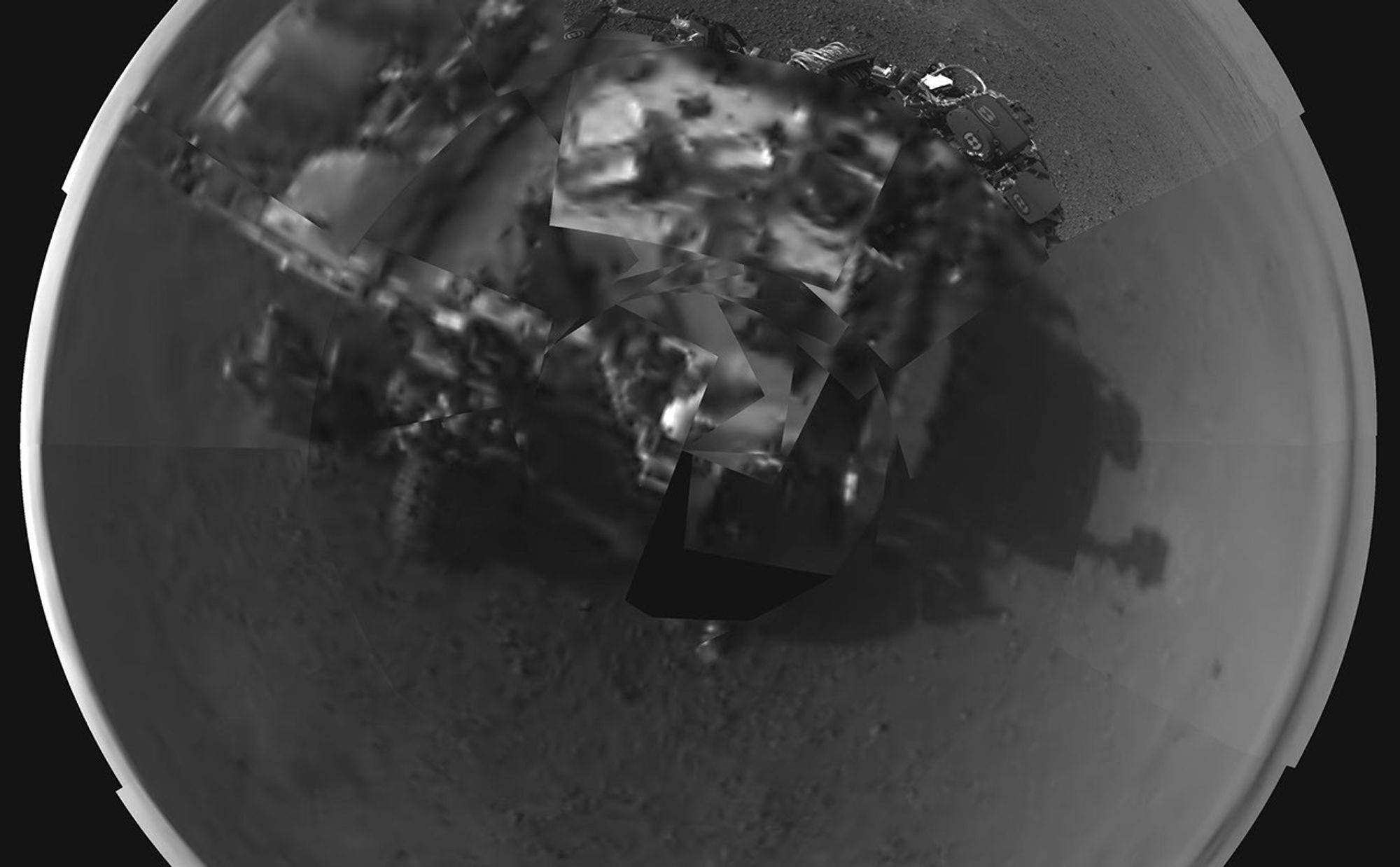 Rover's Self Portrait
