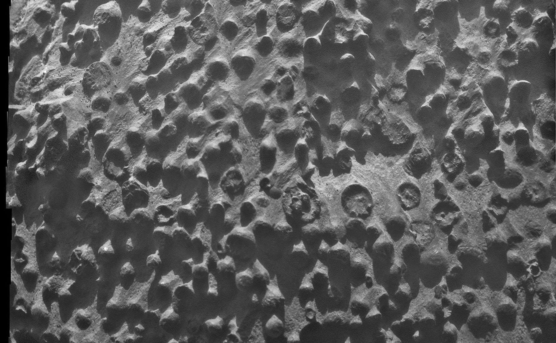 Small spherical objects fill the field in this mosaic combining four images from the Microscopic Imager on NASA's Mars Exploration Rover Opportunity.