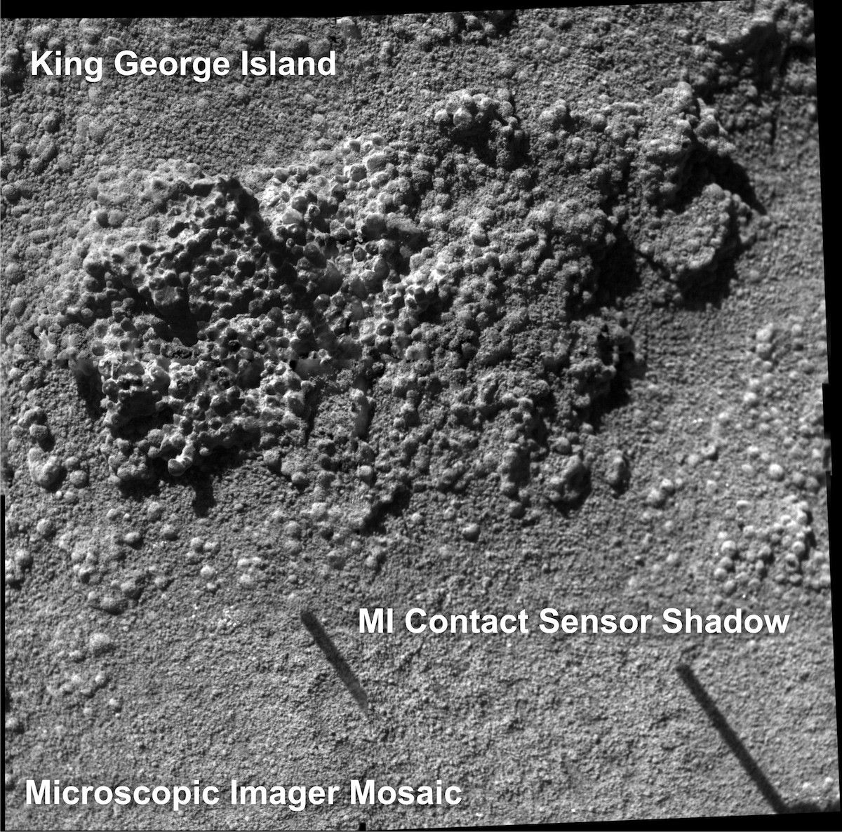 'King George Island' Brushed