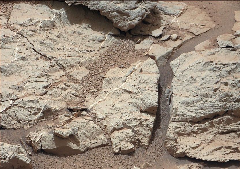 This image of an outcrop at the "Sheepbed" locality, taken by NASA's Curiosity Mars rover with its right Mast Camera (Mastcam), shows well-defined veins filled with whitish minerals, interpreted as calcium sulfate.