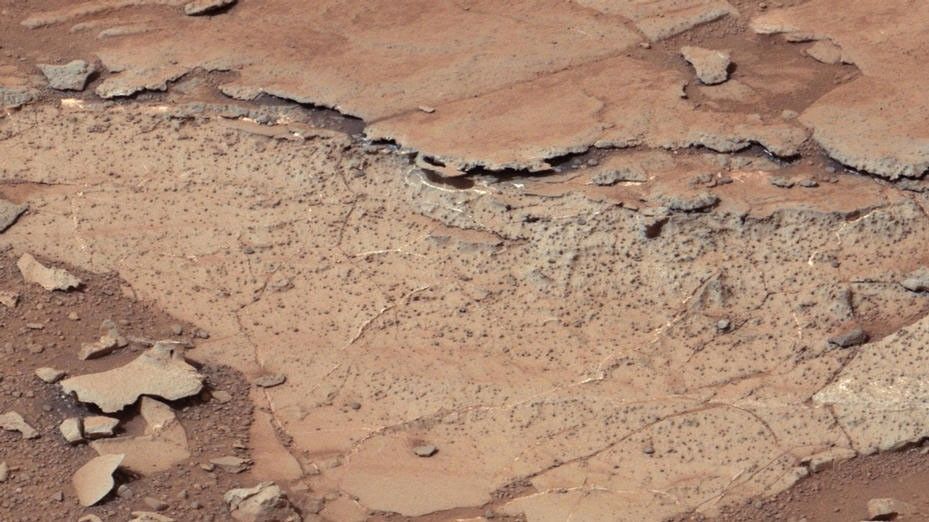 This image from the right Mast Camera (Mastcam) of NASA's Curiosity Mars rover shows roughly spherical features.