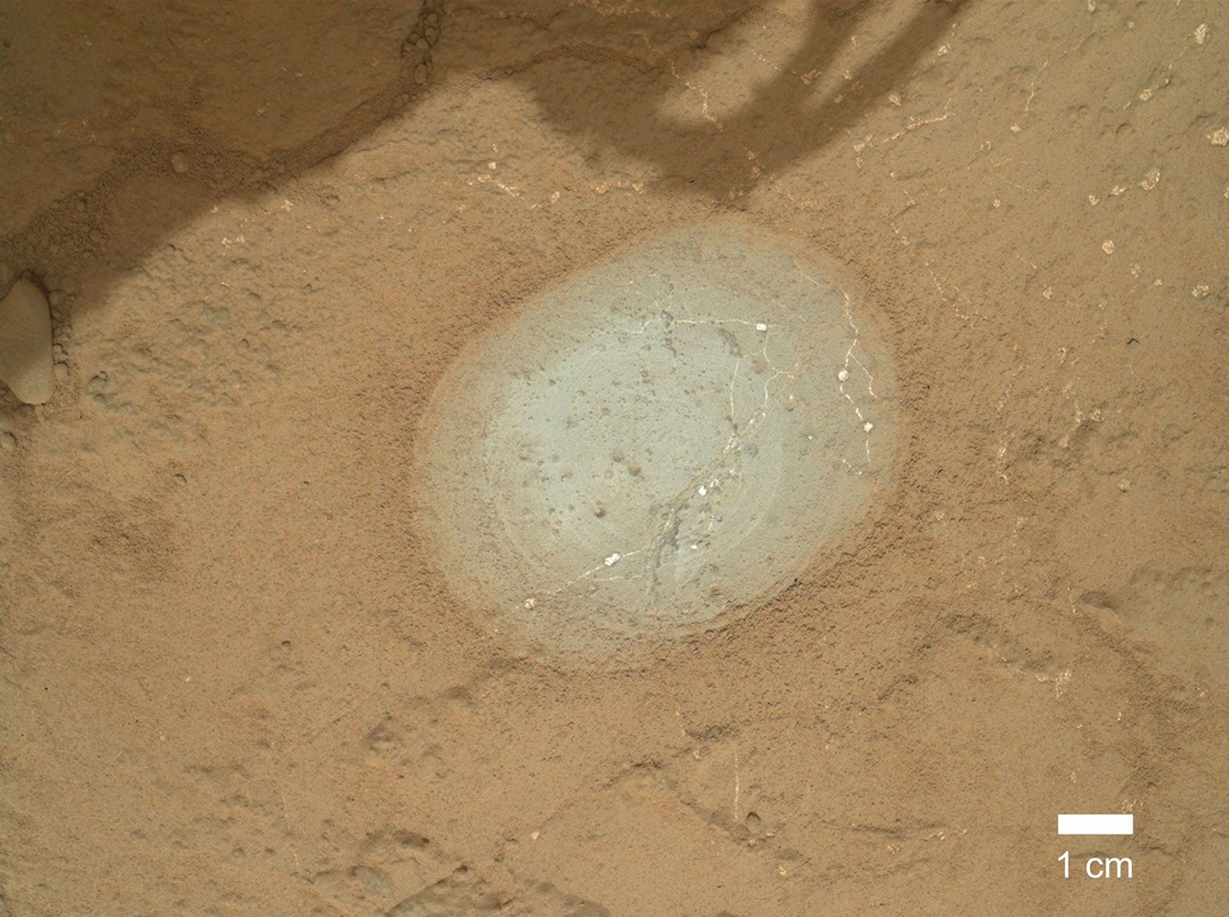 The gray area in the center of this image is where the Dust Removal Tool on the robotic arm of NASA's Mars rover Curiosity brushed a rock target called "Wernecke."