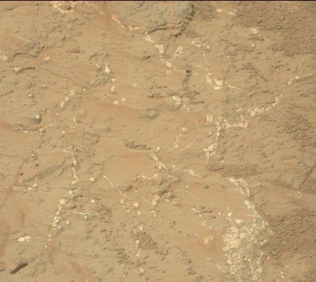Light-toned nodules and veins are visible in this image from NASA's Mars rover Curiosity of a patch of sedimentary rock called "Knorr."