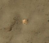 The bright feature in this image might be the parachute from a 1971 Soviet Mars lander named Mars 3. The image was taken by the High Resolution Imaging Science Experiment (HiRISE) camera on NASA's Mars Reconnaissance Orbiter.