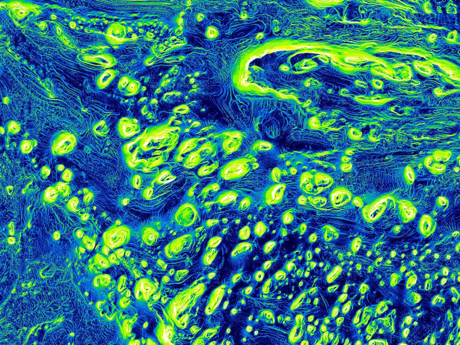 This mosaic was made from images taken at infrared wavelengths in daytime and nighttime by the Thermal Emission Imaging System (THEMIS) on Mars Odyssey orbiter.