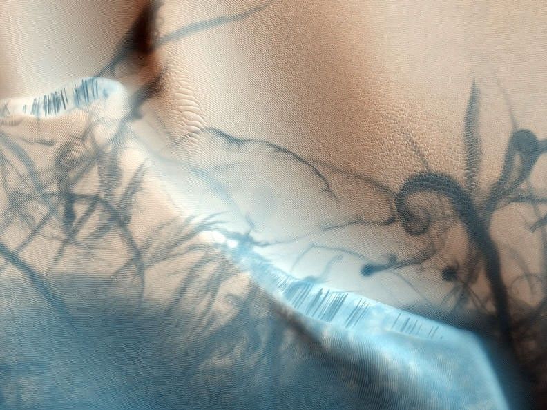 This beautiful observation shows a gorgeous pattern of dust devil tracks.