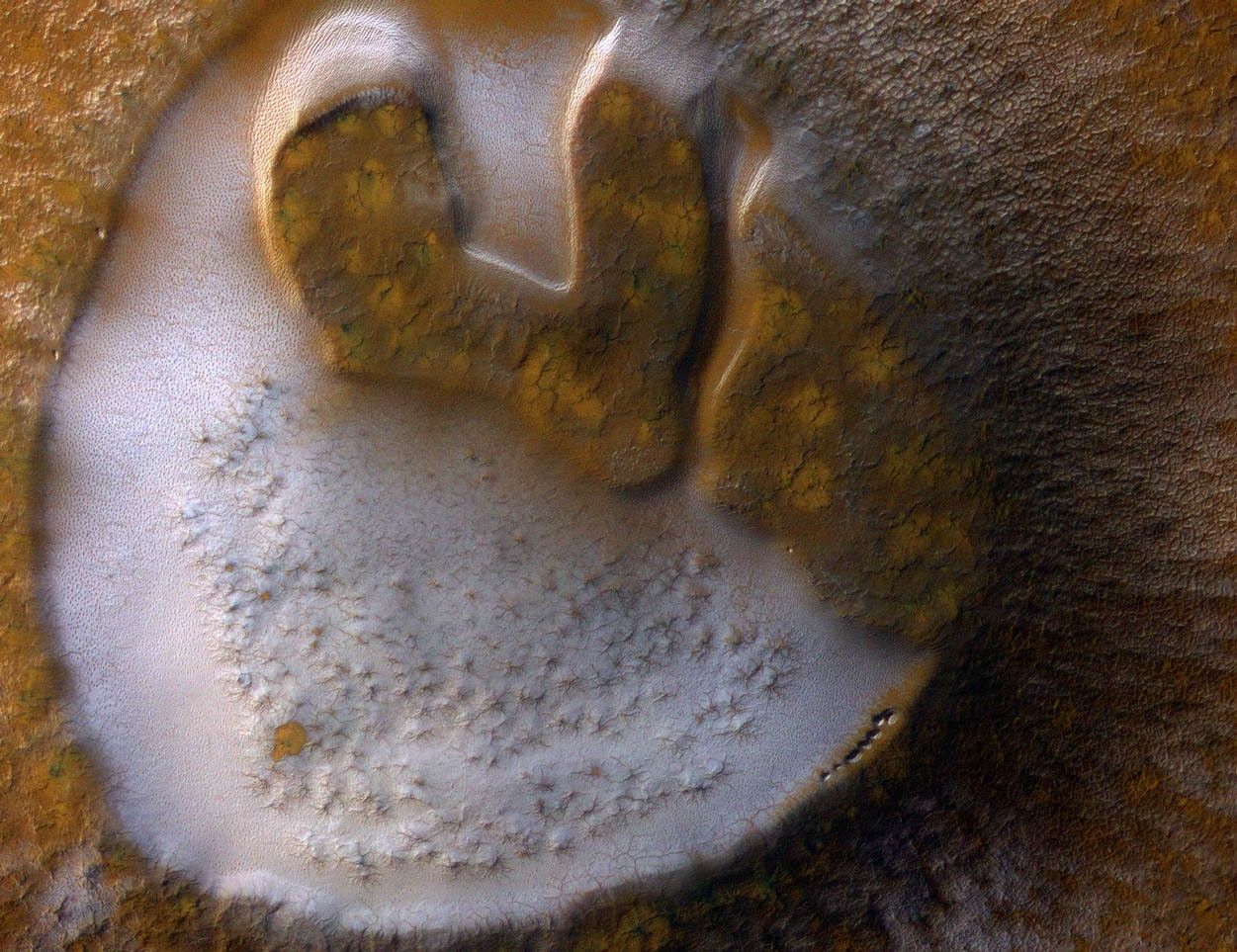Mars's seasonal polar caps are composed primarily of carbon-dioxide frost.