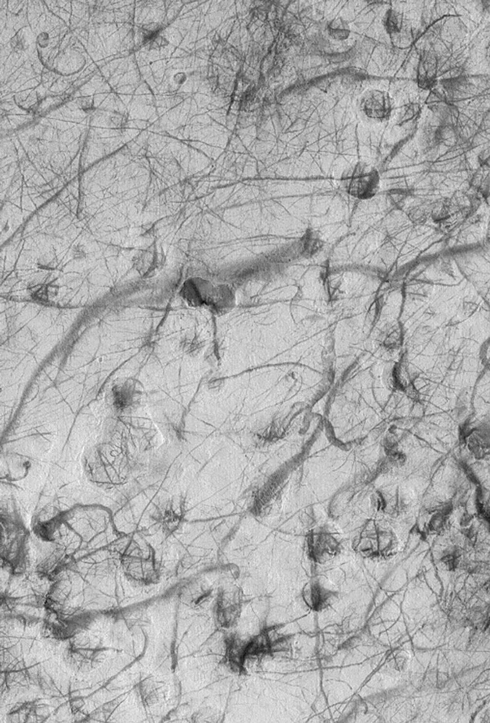 This Mars Global Surveyor (MGS) Mars Orbiter Camera (MOC) image portrays a plethora of dark streaks created by passing dust devils during early summer in the martian southern hemisphere
