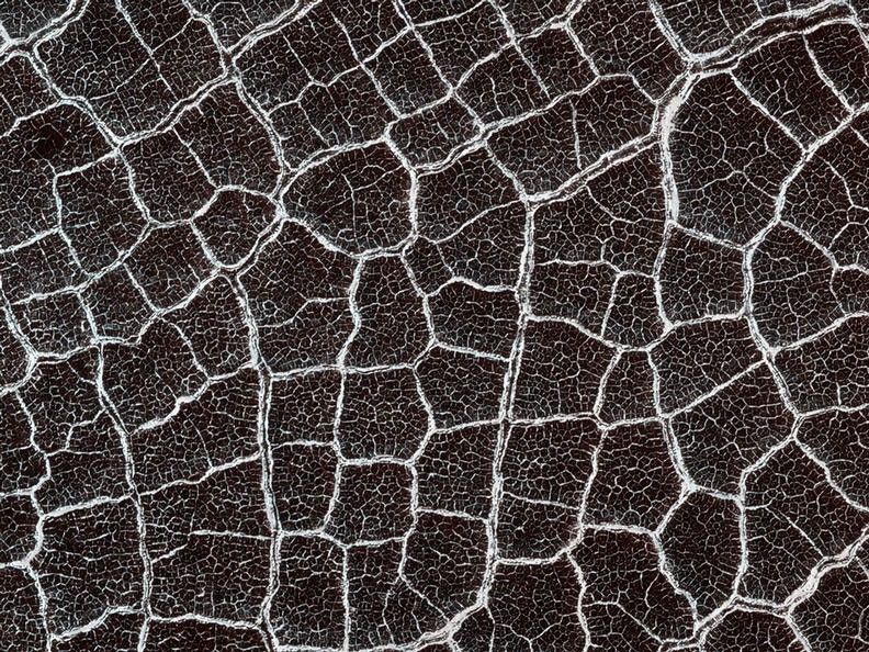 From a distance, the floor of this crater looks like a giant honeycomb or spider web. The intersecting shapes, or polygons, commonly occur in the northern lowlands of Mars.