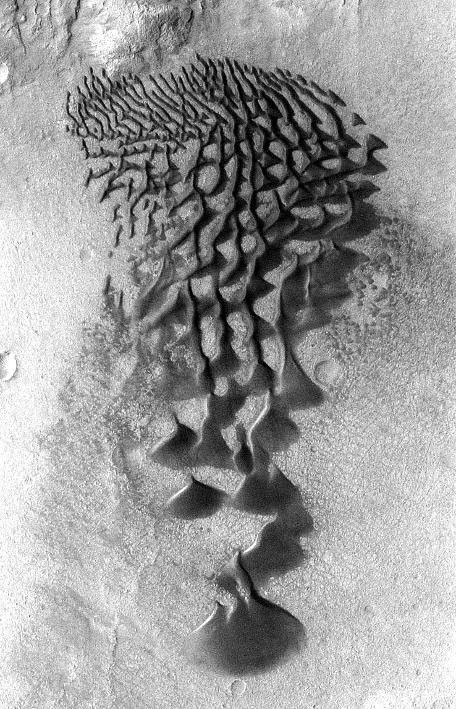 Fans and ribbons of dark sand dunes creep across the floor of Bunge Crater in response to winds blowing from the direction at the top of the picture. The frame is about 14 kilometers (9 miles) wide.