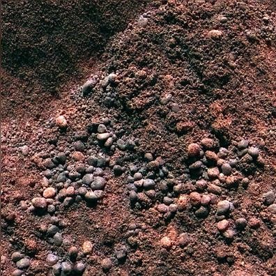 This is a look inside a soil trench or drift dubbed 'Serpent' after the rover successfully dug into the side of the drift.