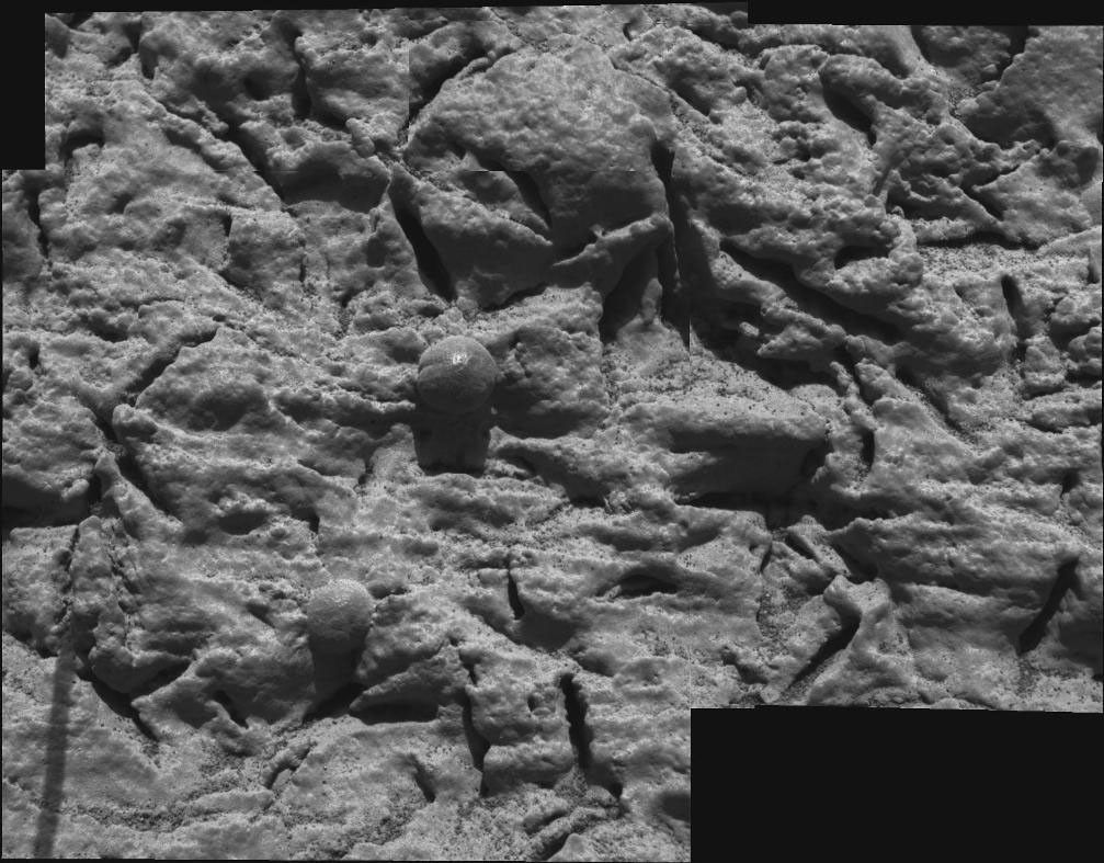 This mosaic image, taken by the microscopic imager on the Mars Exploration Rover Opportunity, shows a portion of the rock outcrop at Meridiani Planum, Mars, dubbed "Guadalupe."
