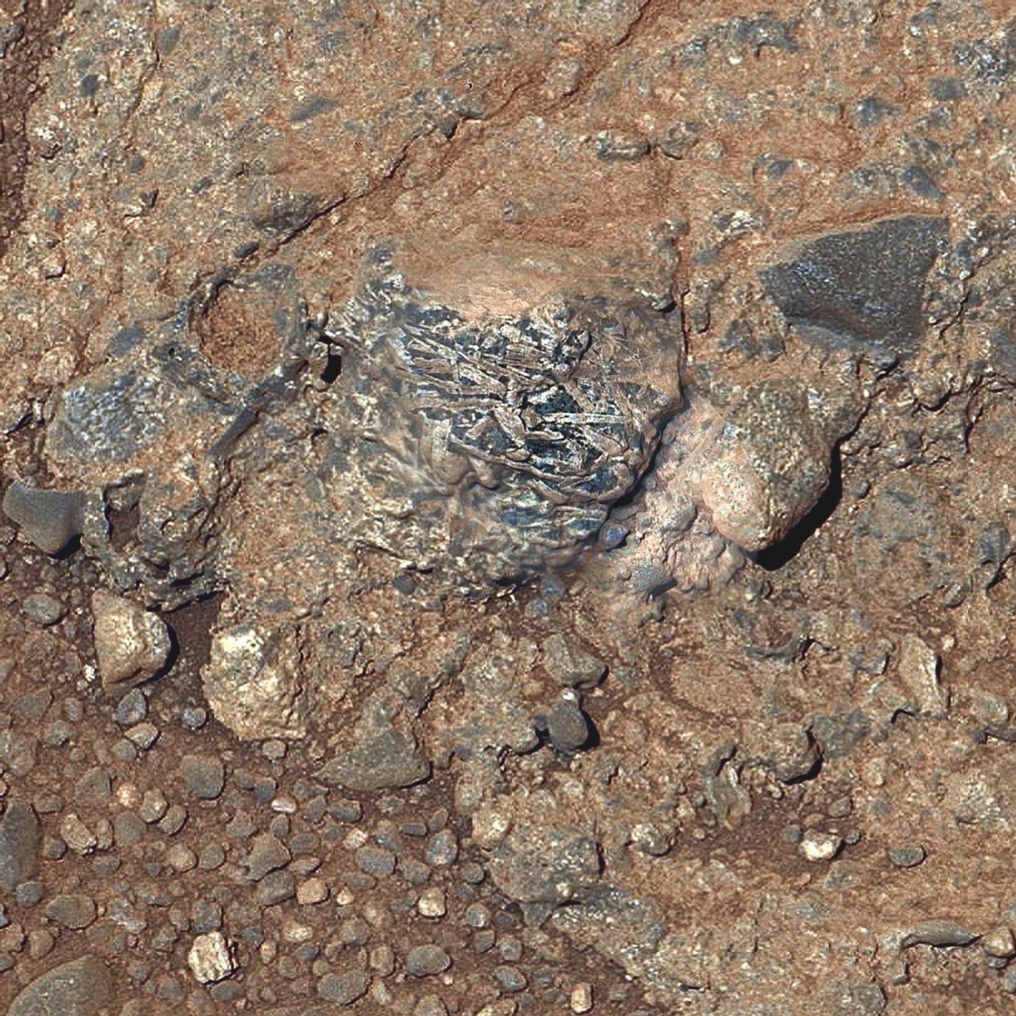 This view of a Martian rock target called "Harrison" merges images from two cameras on NASA's Curiosity Mars rover to provide both color and microscopic detail.