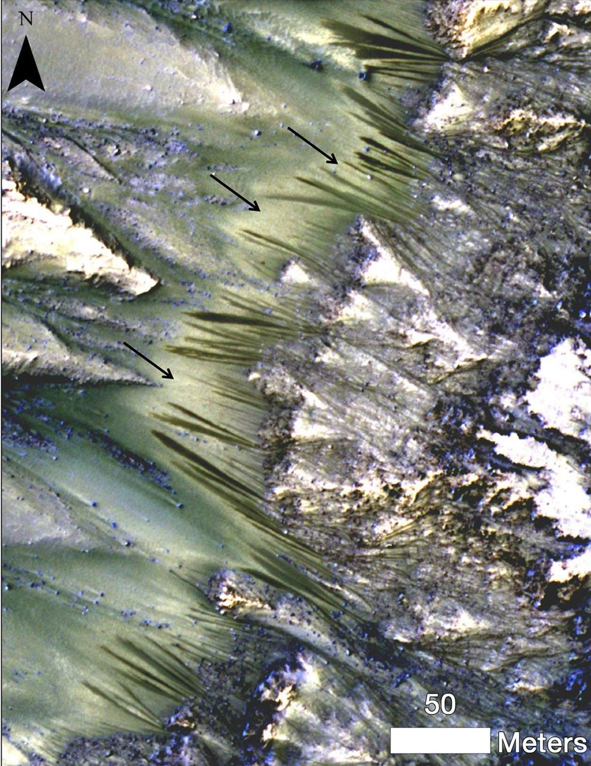 Dark, seasonal flows emanate from bedrock exposures at Palikir Crater on Mars in this image from the High Resolution Imaging Science Experiment (HiRISE) camera on NASA's Mars Reconnaissance Orbiter.